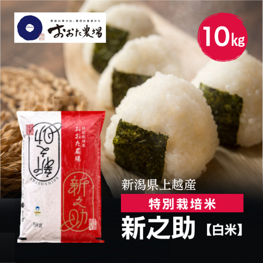 令和8年産 新潟県上越産 特別栽培米 新之助 10kg 10キロ（5kg×2） 【白米】 しんのすけ 新米 おおた農場 上越市