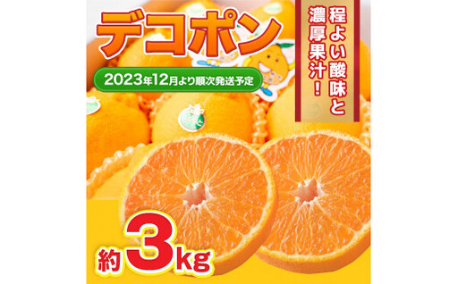＜ R8年熊本地震復興支援 ＞デコポン 約3kg 【2026年12月上旬～2027年2月下旬発送予定】