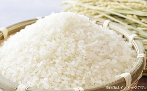 【令和8年産】 特別栽培米ヒノヒカリ （精米） 20kg 予約 新米 ヒノヒカリ 精米 井上農園 米 お米 白米 【2026年10月上旬～12月下旬迄発送予定】