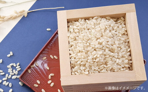 【令和8年産】 特別栽培米ヒノヒカリ （玄米） 20kg 予約 新米 ヒノヒカリ 玄米 井上農園 米 お米 【2026年10月上旬～12月下旬迄発送予定】