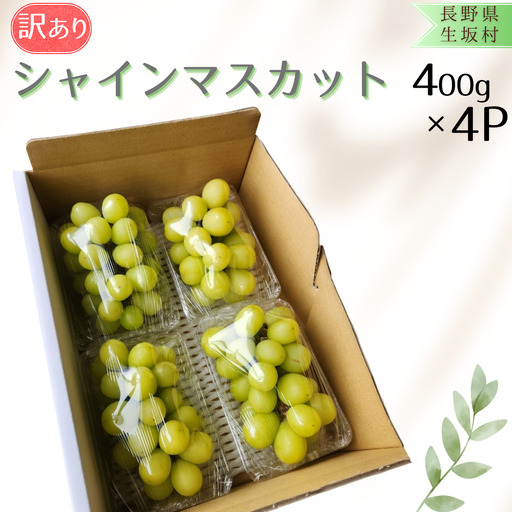 訳あり シャインマスカット（400g×4パック） | シャインマスカット