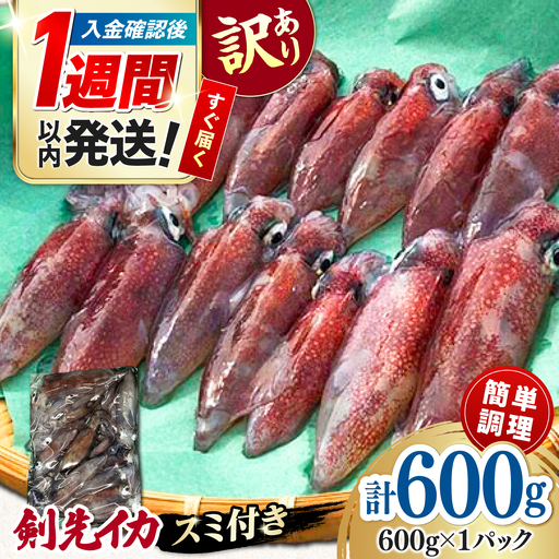 おスミ付き! 訳アリ 剣先イカ 600g[対馬市][対馬地域商社] 冷凍 新鮮 いか 簡単調理 産地直送 小分け