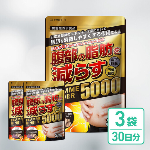 脂肪を消費しやすくする ブラックジンジャー サプリメント フラムジンジャー 機能性表示食品 3袋 ダイエット カプサイシン カテキン L-カルニチン BCAA BMI 脂肪 内臓脂肪 体重 ウエスト