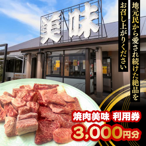 焼肉美味　利用券　3,000円分 MBAV006