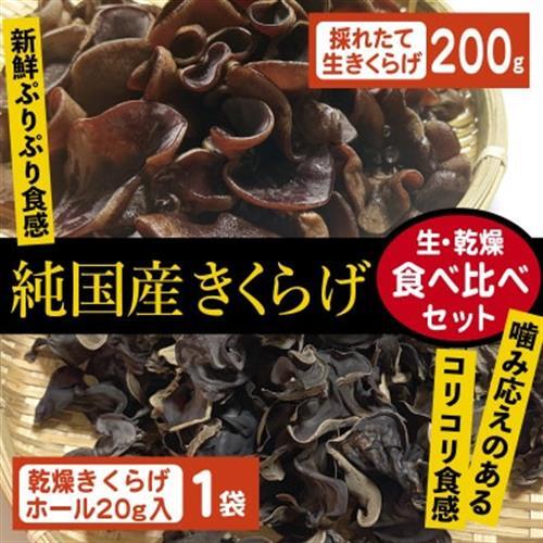 純国産きくらげ　生・乾燥セット【配送不可地域：離島】【1777830】