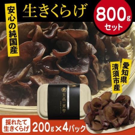 純国産　新鮮生きくらげ【配送不可地域：離島】【1777873】