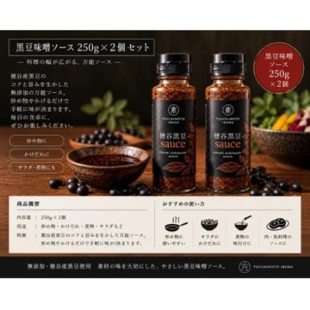 穂谷産黒豆無添加味噌sauce250g×2本【配送不可地域：離島】【1786719】