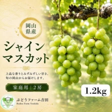【2027年発送】岡山県産シャインマスカット家庭用　計1.2kg(2房)【配送不可地域：離島】【1780423】
