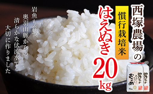 【令和8年産】慣行栽培米 はえぬき 白米 20kg(10kg×2袋)