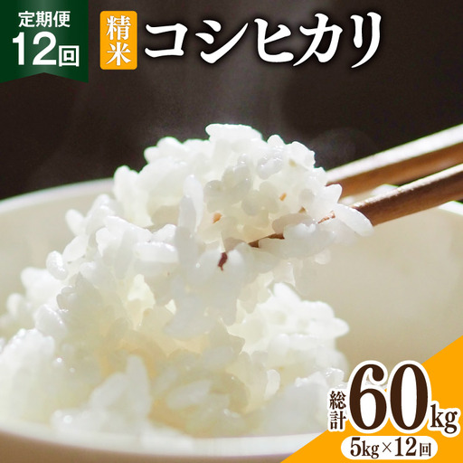 米 12回定期便 コシヒカリ 精米 5kg