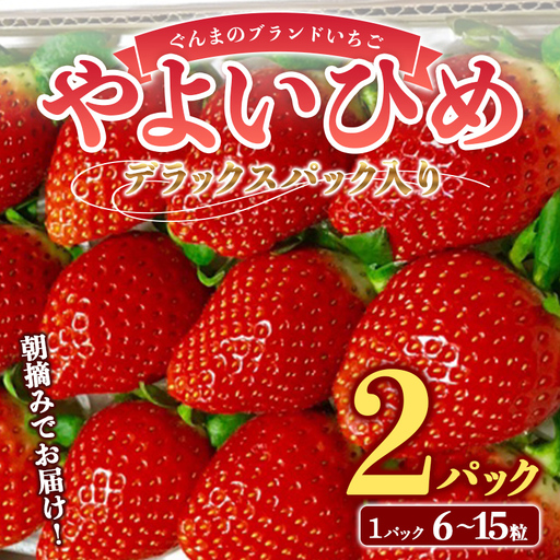 朝摘みでお届け！ぐんまのブランドいちご”やよいひめ”デラックスパック入り大粒(2パック) イチゴ 苺 期間限定 フルーツ 果物 F4H-0876