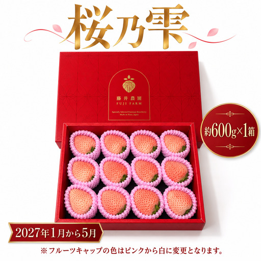 桜乃雫 大粒 1箱 [fuj05_R9]