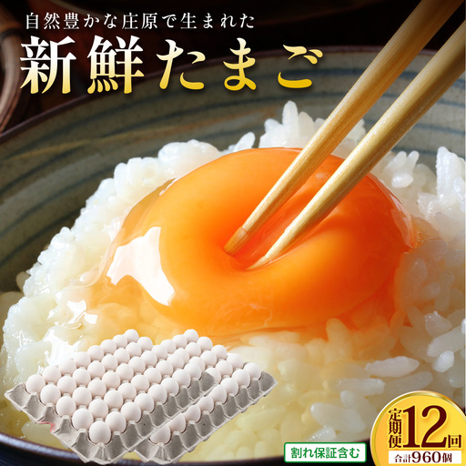 定期便 12回配送 新鮮 たまご 80個×12回 合計960個 | 自然豊かな庄原で生まれた 新鮮たまご 訳アリ MSサイズ～2Lサイズ サイズ混合 サイズ指定不可
