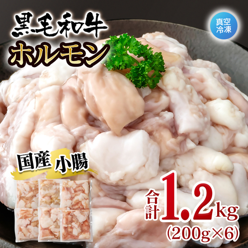 黒毛和牛ホルモン 1.2kg 小分け200g×6 国産牛肉 焼肉 焼き肉 もつ 真空パック[58-68a]