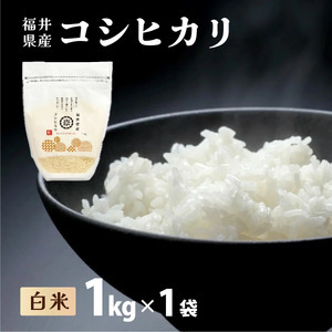 【定期便12回】コシヒカリ 1kg 令和8年産[095-t12-a029]