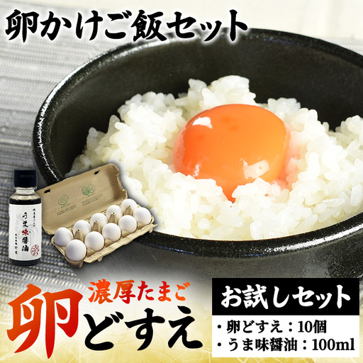 卵どすえ10個 うま味醤油100ml 卵かけご飯 お試しセット 