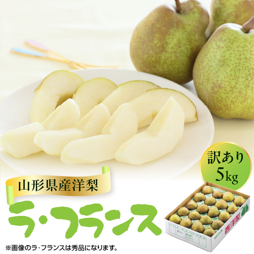 山形県産洋梨 訳あり ラ・フランス 約5kg【2026年11月上旬頃～発送予定】 063-027
