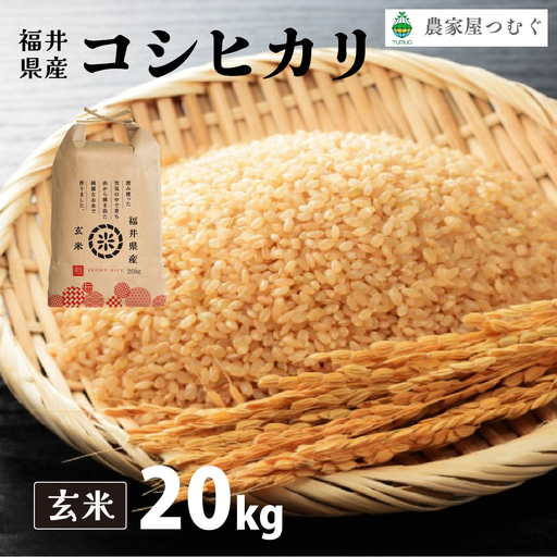 コシヒカリ 玄米 20kg（20kg×1）令和8年産[095-a230] 