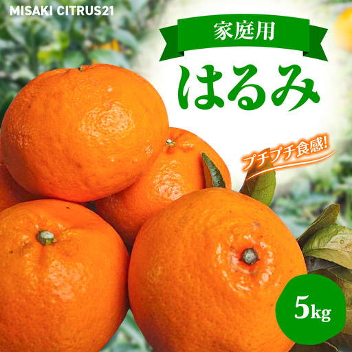 【先行予約】佐田岬　瀬戸内産　はるみ【家庭用】約5㎏ IKTBM001