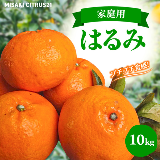 【先行予約】佐田岬　瀬戸内産　はるみ【家庭用】約10㎏ IKTBM002