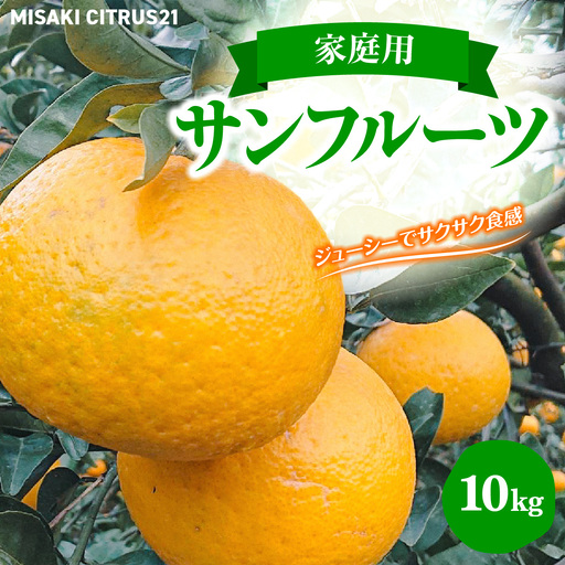 【先行予約】佐田岬　瀬戸内産　サンフルーツ【家庭用】約10㎏ IKTBM013