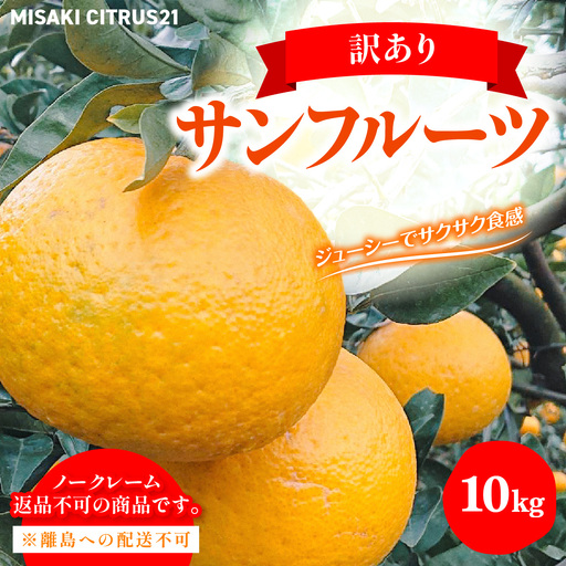 【先行予約】佐田岬　瀬戸内産　サンフルーツ【訳あり】約10㎏ IKTBM014