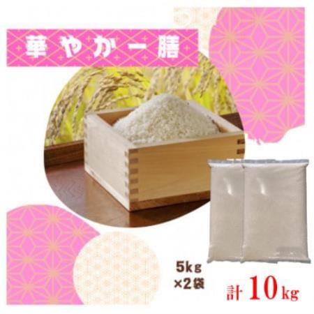 【毎月定期便】訳あり【無地袋梱包】蛇紋岩ブランド 華やか一膳 10kg(5kg×2)全3回【4093781】