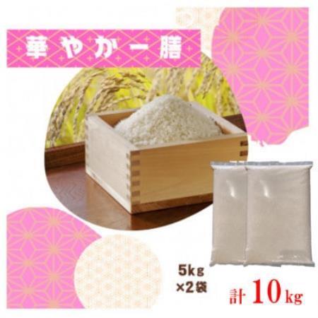 【毎月定期便】訳あり【無地袋梱包】蛇紋岩ブランド 華やか一膳 10kg(5kg×2)全6回【4093782】
