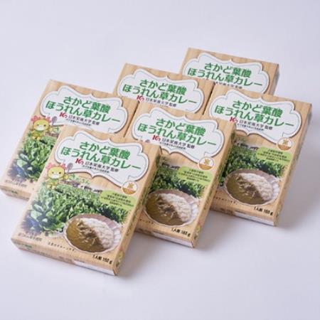 さかど葉酸ほうれん草カレー 160g×6【1767822】