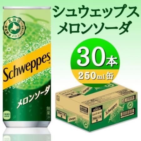 シュウェップスメロンソーダ　250ml缶【1776470】