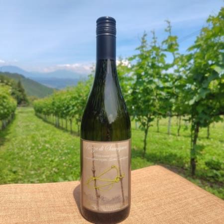 Bozza di Sauvigunon(ソーヴィニヨン・ブラン:白ワイン)750ml×1本【1776537】