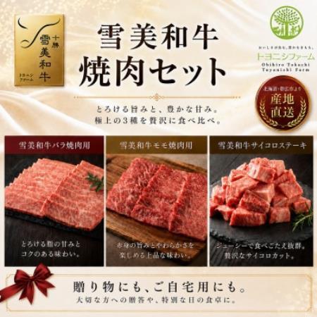 雪美和牛焼肉セット【配送不可地域：離島】【1776480】