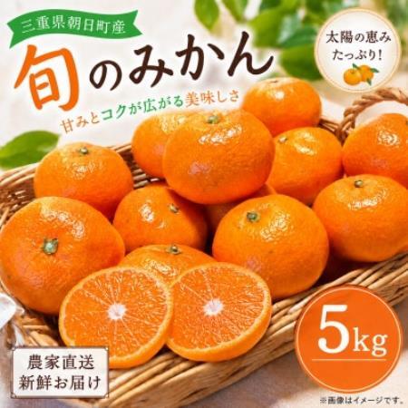 朝日町の太陽が育てた旬のみかん 約5kg サイズ混合[2026年11月下旬より発送]