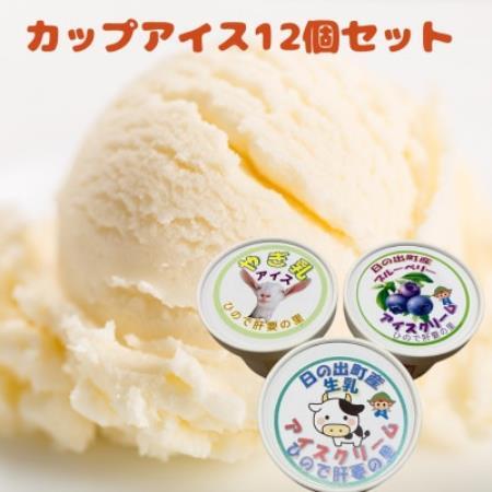 カップアイス12個セット(やぎ乳・プレーン・ブルーベリー)【配送不可地域：離島】【1785737】