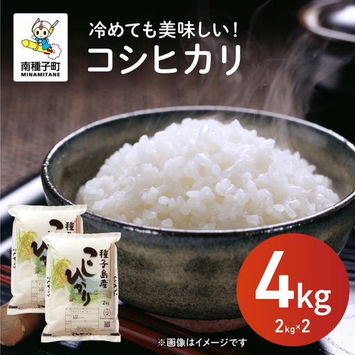令和8年産 新米 コシヒカリ 4kg  お米 こめ コメ 精米 白米 南種子町 鹿児島 かごしま 【株式会社こめこめアイランド】