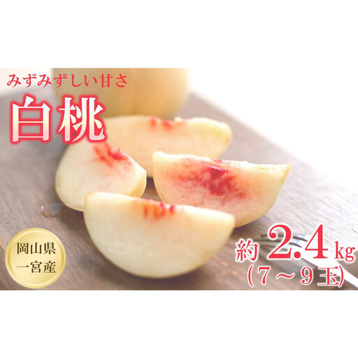 【2027年先行予約】 家庭用 白桃 匠の白桃  約2.4kg（7～9玉） 岡山県 一宮産  数量限定 ～旬の美味しさ 犬塚農園からお届け～