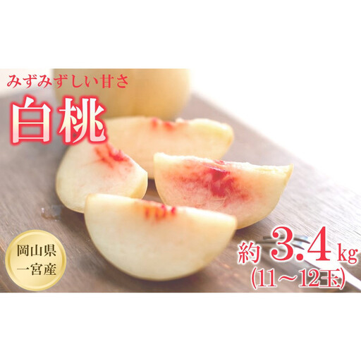 【2027年先行予約】 家庭用 白桃 匠の白桃  約3.4kg（11～12玉）岡山県 一宮産  数量限定 ～旬の美味しさ 犬塚農園からお届け～