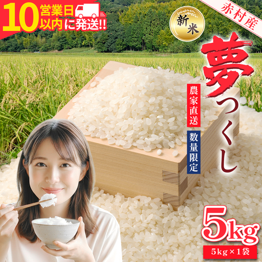 【10営業日以内に発送】 赤村産米 農家直送 【数量限定】 精米 夢つくし 5kg 4U2-S1
