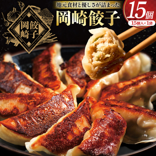餃子 岡崎餃子 15個