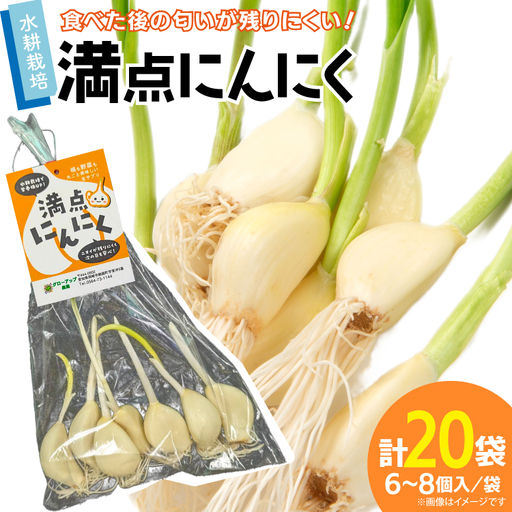 にんにく 満点にんにく 6～8個入 20袋