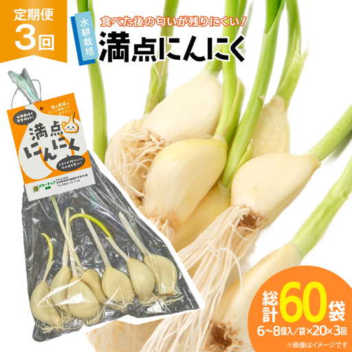 にんにく 満点にんにく 20袋 3回 定期便