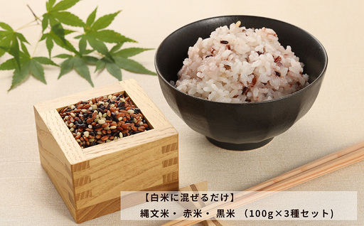 【白米に混ぜるだけ】縄文米・ 赤米・ 黒米 （各100g×3種セット）（しだれ桜とナリエの里 四美）【南ひだヘルスファーム】【129-4】