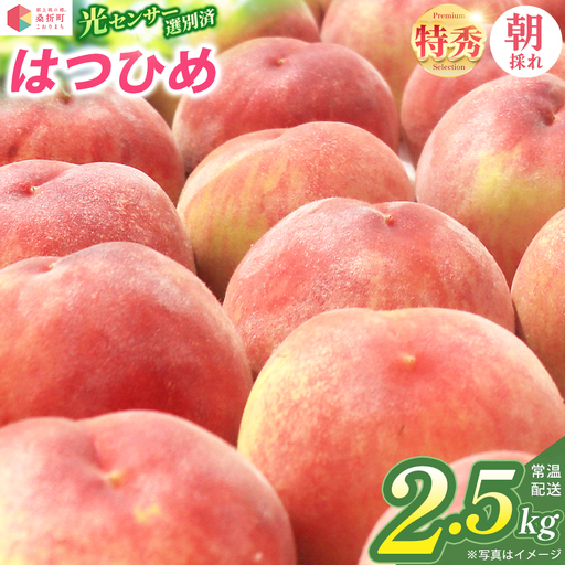 もも【はつひめ・2027年先行予約】特秀2.5kg（7～9玉）桑折町振興公社 ／ もも モモ 果物 早生桃 桃 白桃 フルーツ 2.5kg 大容量 特秀品 果汁たっぷり やわらかい 甘い果物 家庭用 贈答用 夏 季節限定 お取り寄せ 新鮮 福島県 特産品 献上桃の郷 【07301-0314】