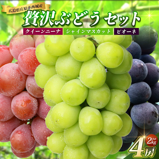 [先行受付 2027年発送]庄原市西城産 贅沢ぶどうセット 4房(合計2kg) OV-4