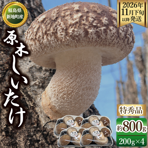 福島県産 原木生しいたけ 特秀品 800g(200g×4p) | 新地町 国産 しいたけ 椎茸 肉厚 きのこ きのこ類 原木栽培 農家直送 産地直送 お取り寄せ