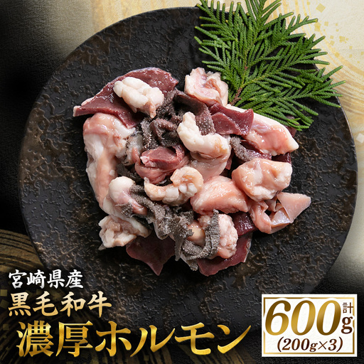 ホルモン 【食べログ百名店】倉薗牧場ミックスホルモン 200g×3P