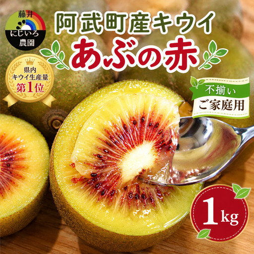 [先行予約][家庭用]キウイ あぶの赤 1kg 山口県 阿武町産 数量限定 国産 果物 赤いキウイ[2026年10月下旬〜発送予定]