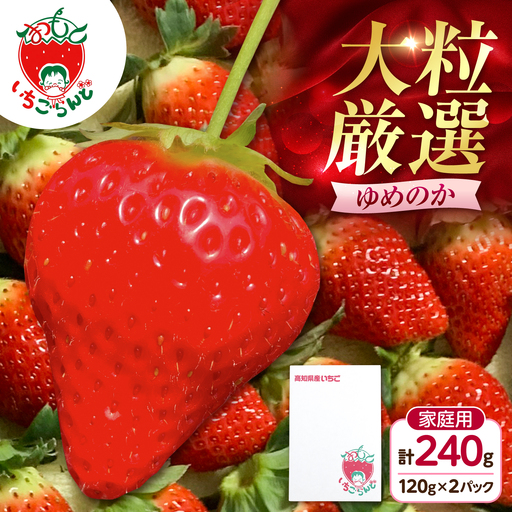 [先行予約]いちご ゆめのか 120g×2パック / 苺 果物 フルーツ 甘い 産地直送 冷蔵 人気 おすすめ ふるさと納税 高知 土佐市 家庭用[松本いちごらんど][BQDQ001][BQDQ001]