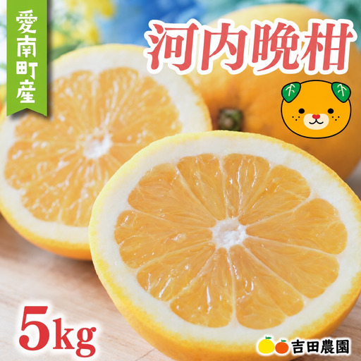 【先行予約】 訳あり 河内晩柑 5kg 愛媛県産 河内晩柑