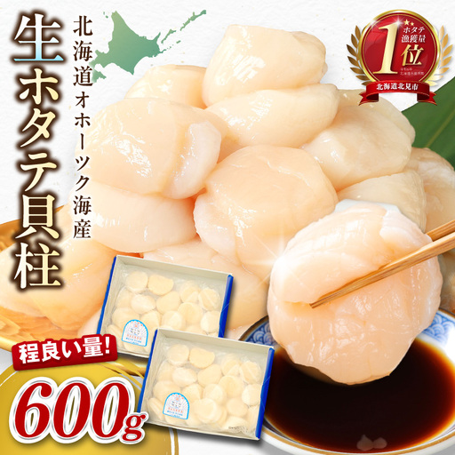 【予約：2026年10月から順次発送】北海道オホーツク海産 ホタテ貝柱 600g 生食用 ( 海鮮 刺身)【239-0006】